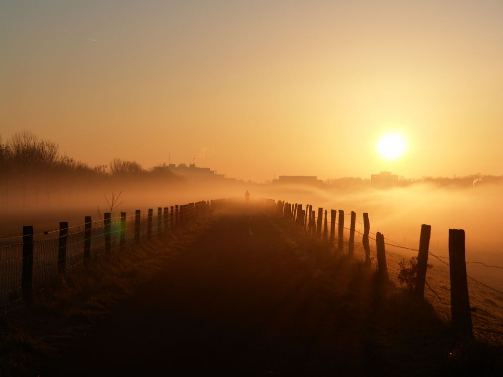 Er verschwindet im Morgennebel