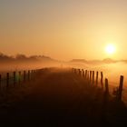 Er verschwindet im Morgennebel