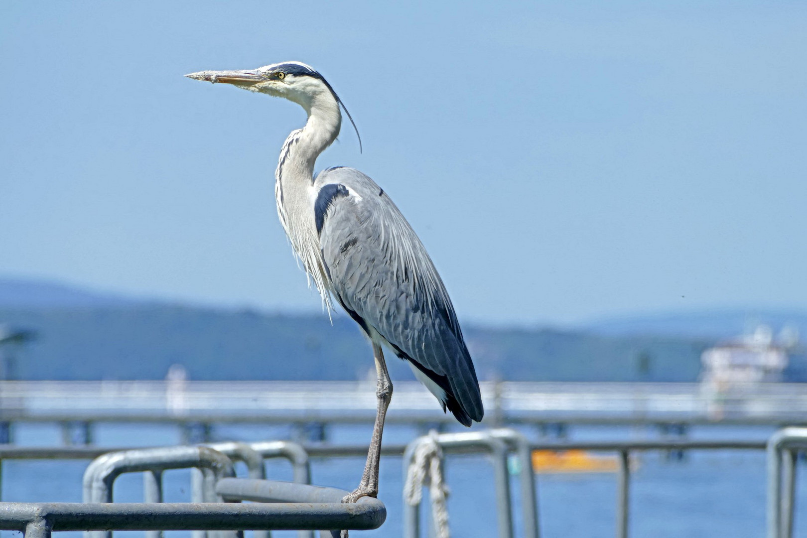 er wacht über den See