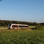 Er war der Nutznießer des schönsten Abendlichtes