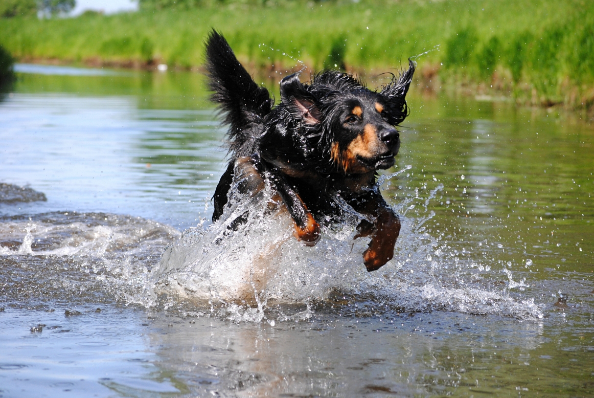 Er war ein Wassernarr