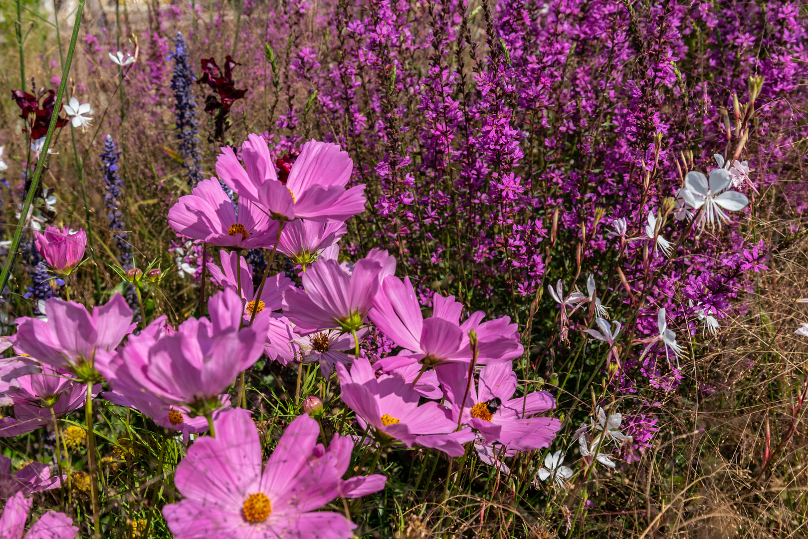 Er war im Sommer.