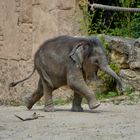 ER WAR ZU BESUCH IN LEIPZIG