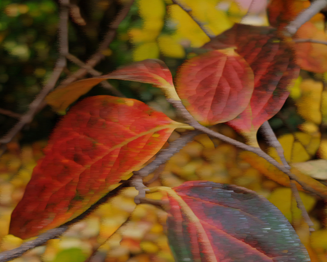 Era d'autunno 