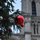 ... era Natale a Parigi!