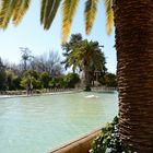 Eram Garden - Shiraz ( Iran )