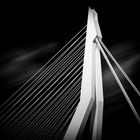 Erasmus Bridge