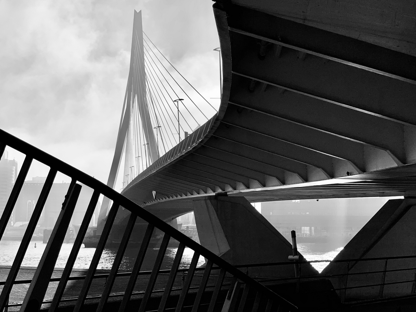 Erasmus bridge