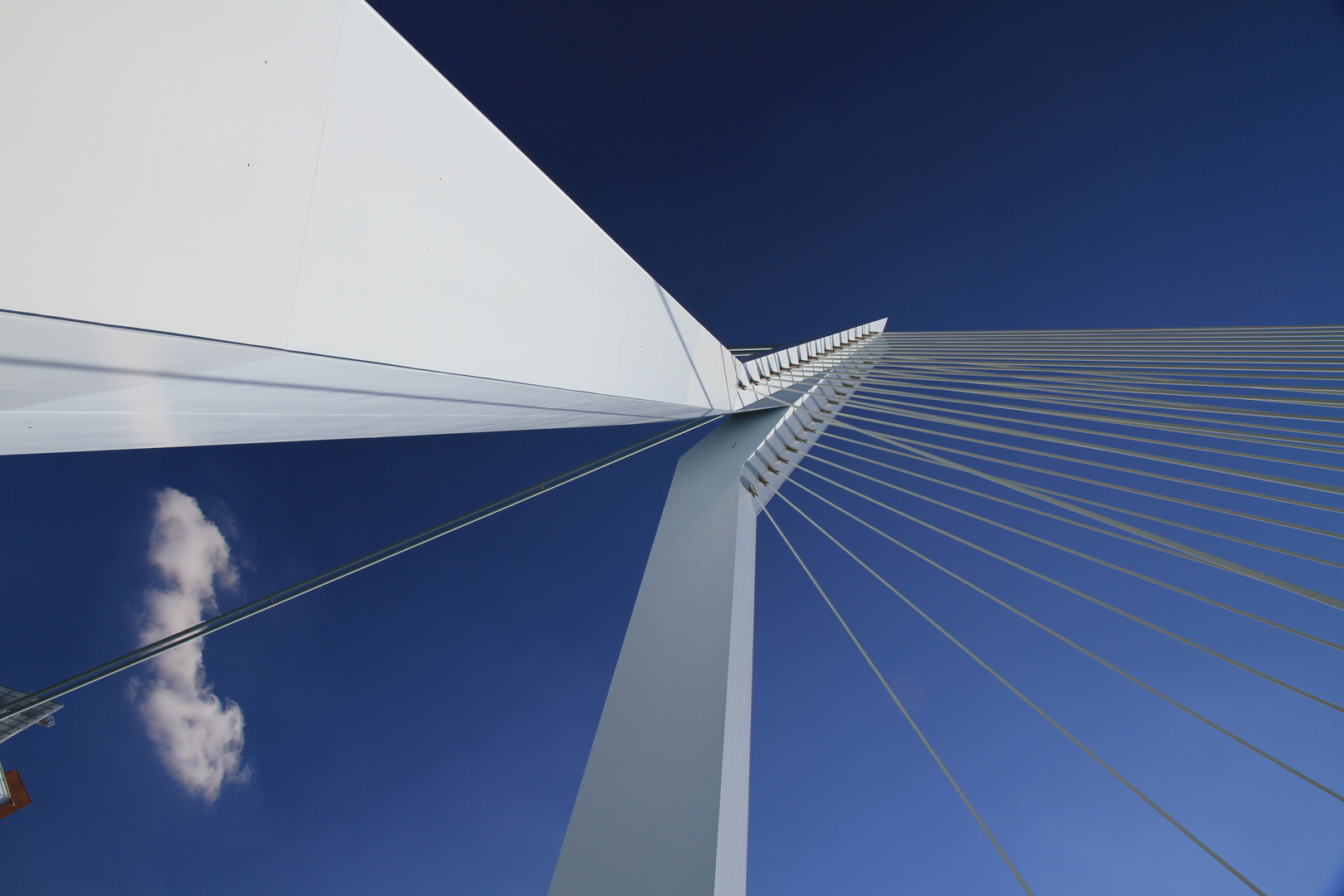 Erasmus Bridge Rotterdam