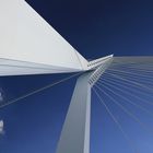 Erasmus Bridge Rotterdam