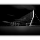 Erasmus bridge Rotterdam