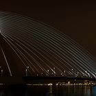 Erasmus Brücke in Rotterdam 2