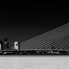 Erasmus-Brücke Rotterdam