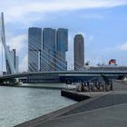 Erasmus Brücke Rotterdamm Hafen