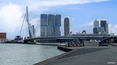 Erasmus Brücke Rotterdamm Hafen