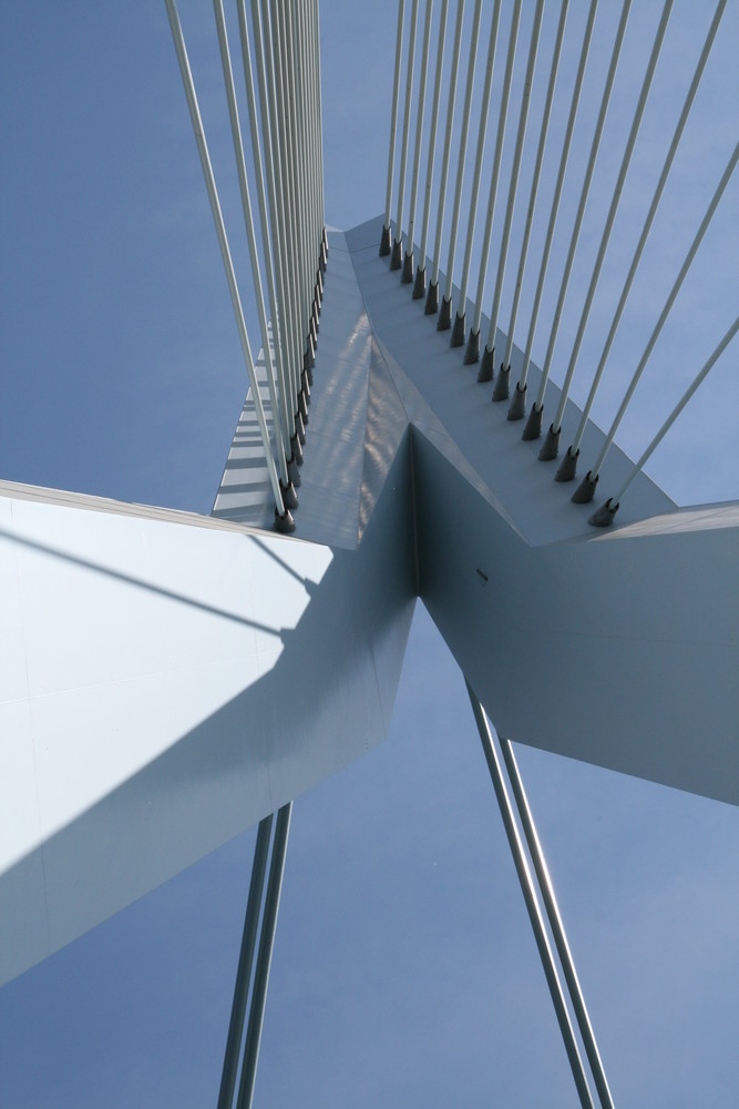 erasmus brug2