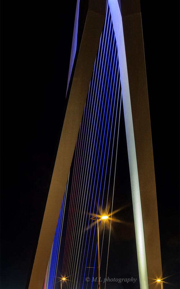 Erasmusbridge/Rotterdam