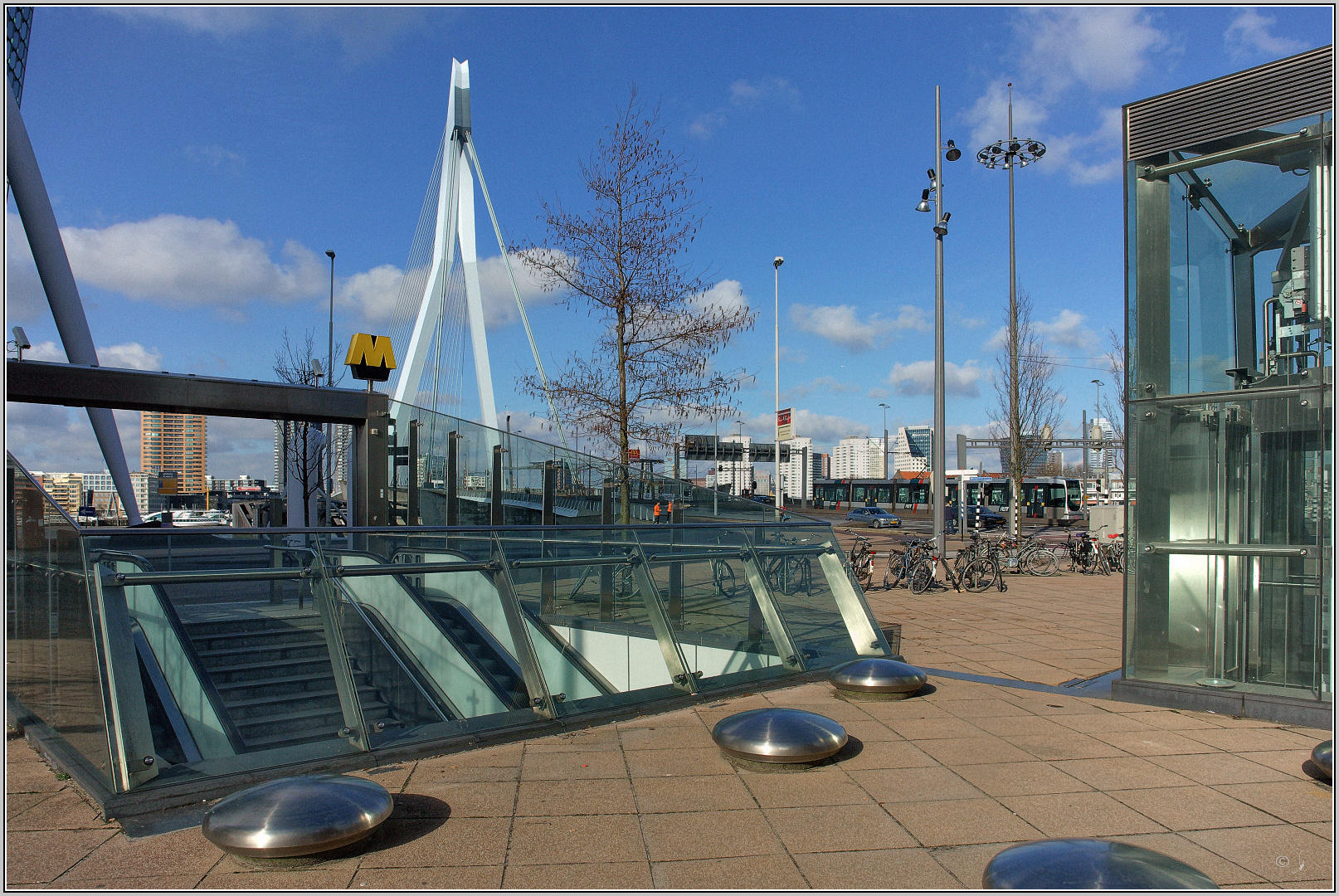 Erasmusbrücke im Rotterdamer Stadtbild