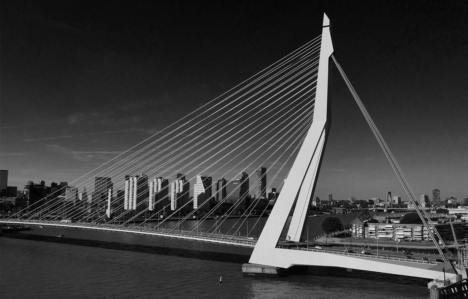 Erasmusbrücke in Rotterdam