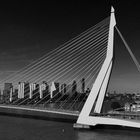 Erasmusbrücke in Rotterdam