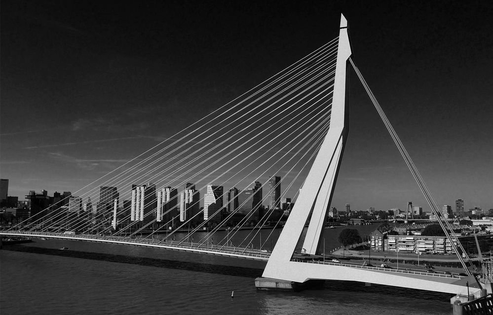 Erasmusbrücke in Rotterdam