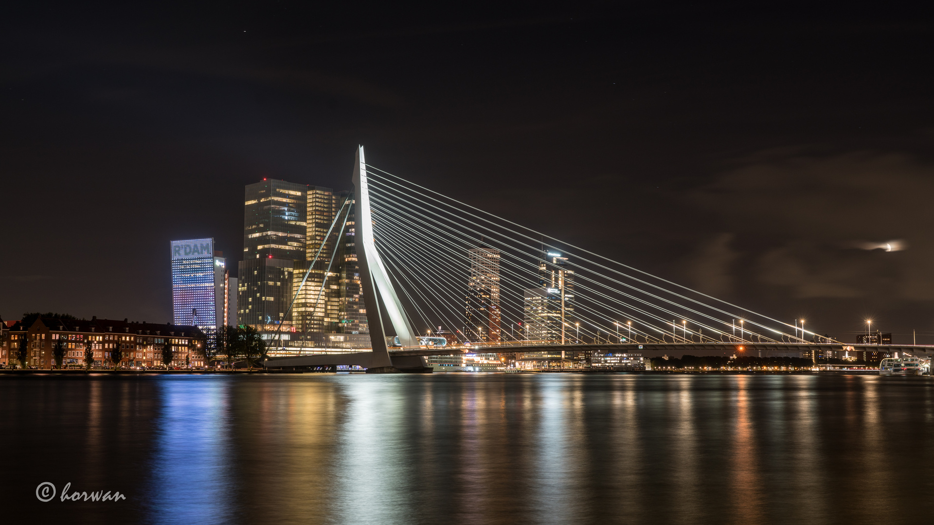 Erasmusbrücke in Rotterdam