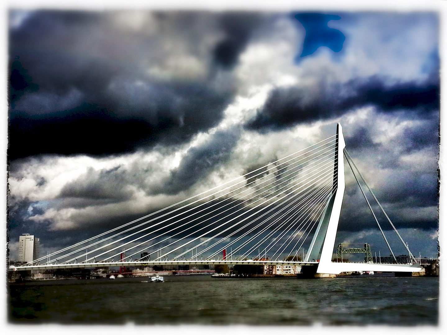 Erasmusbrücke in Rotterdam