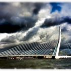 Erasmusbrücke in Rotterdam