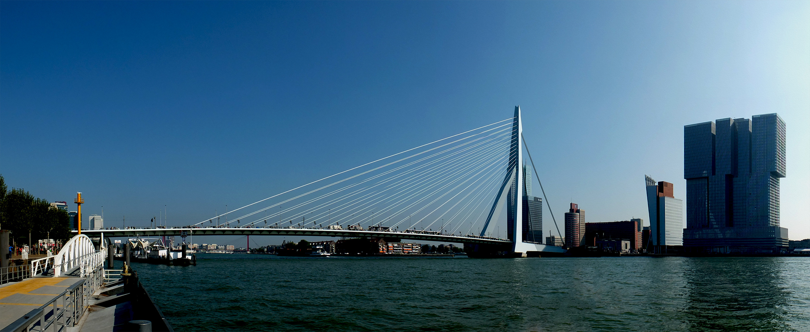 Erasmusbrücke in Rotterdam