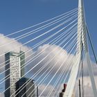 Erasmusbrücke in Rotterdam