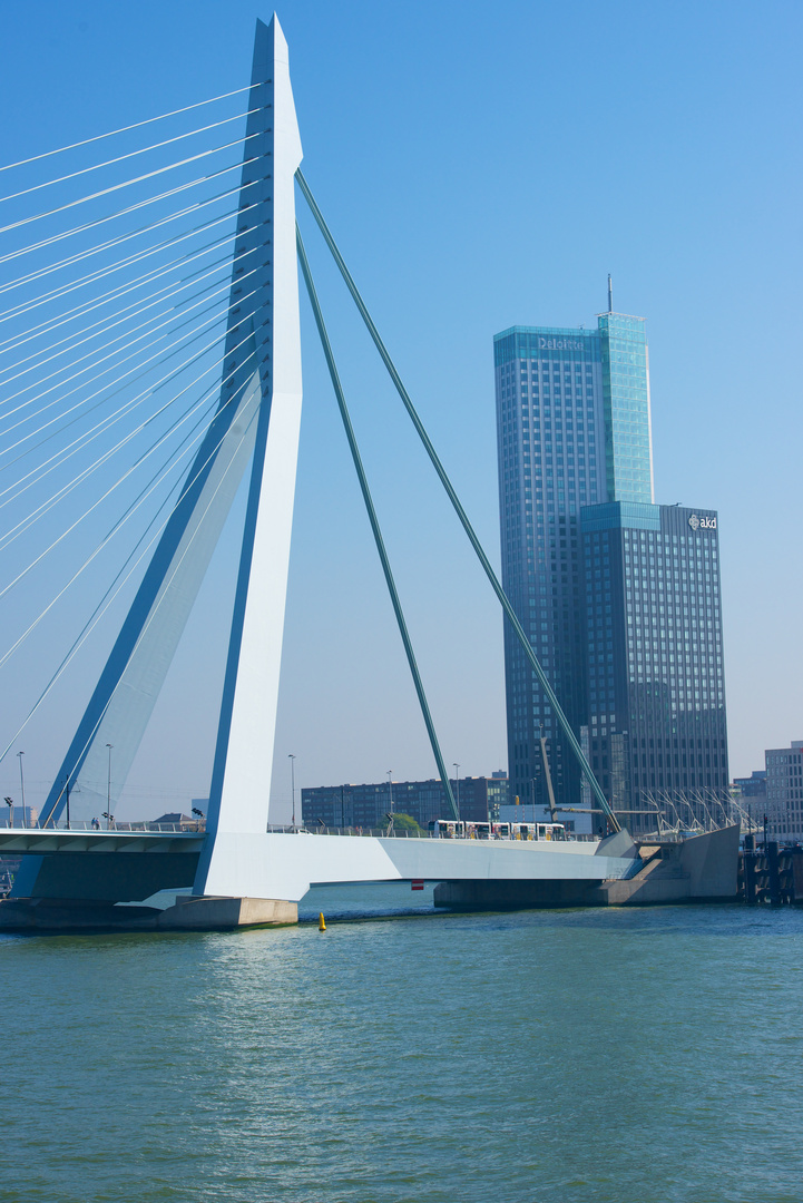 Erasmusbrücke Rotterdam