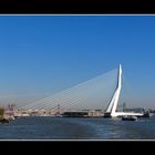 Erasmusbrücke Rotterdam