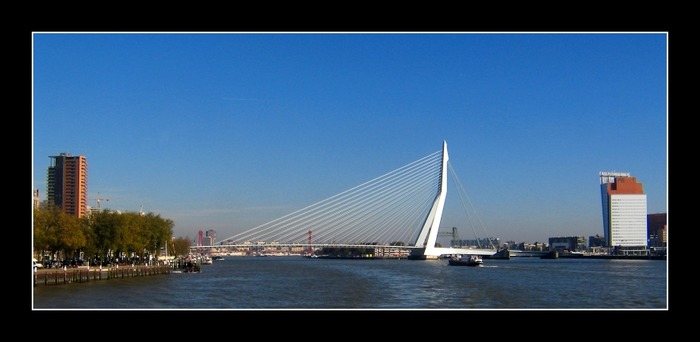 Erasmusbrücke Rotterdam