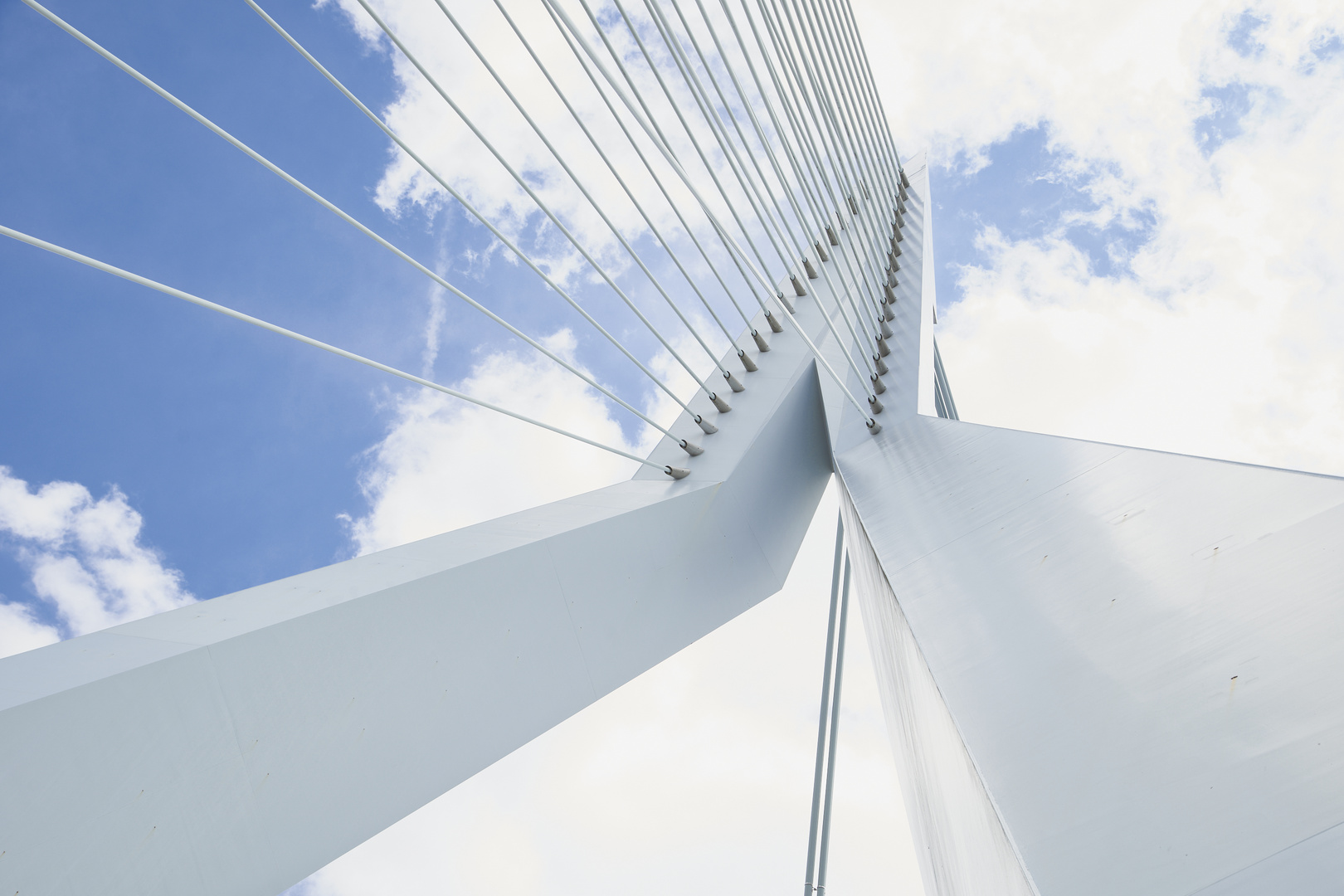 Erasmusbrücke Rotterdam