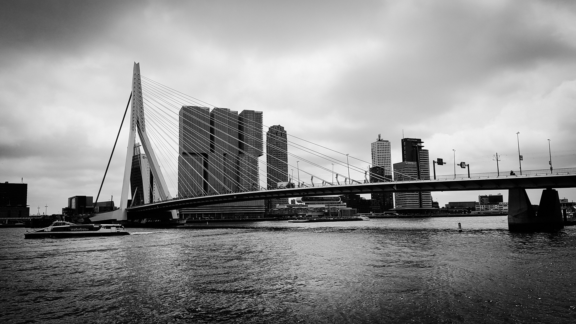 Erasmusbrücke Rotterdam