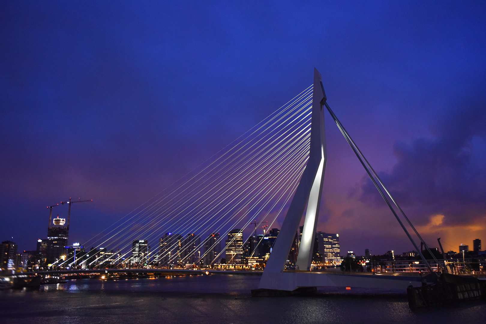  Erasmusbrücke  Rotterdam