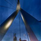 Erasmusbrücke Rotterdam