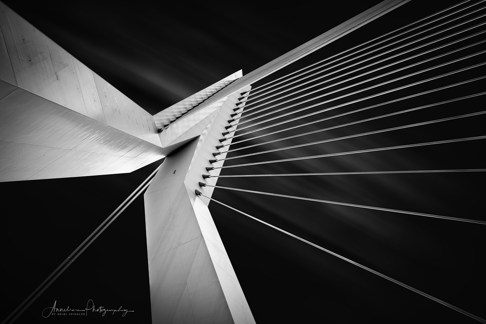 Erasmusbrücke rotterdam