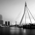 Erasmusbrücke, Rotterdam