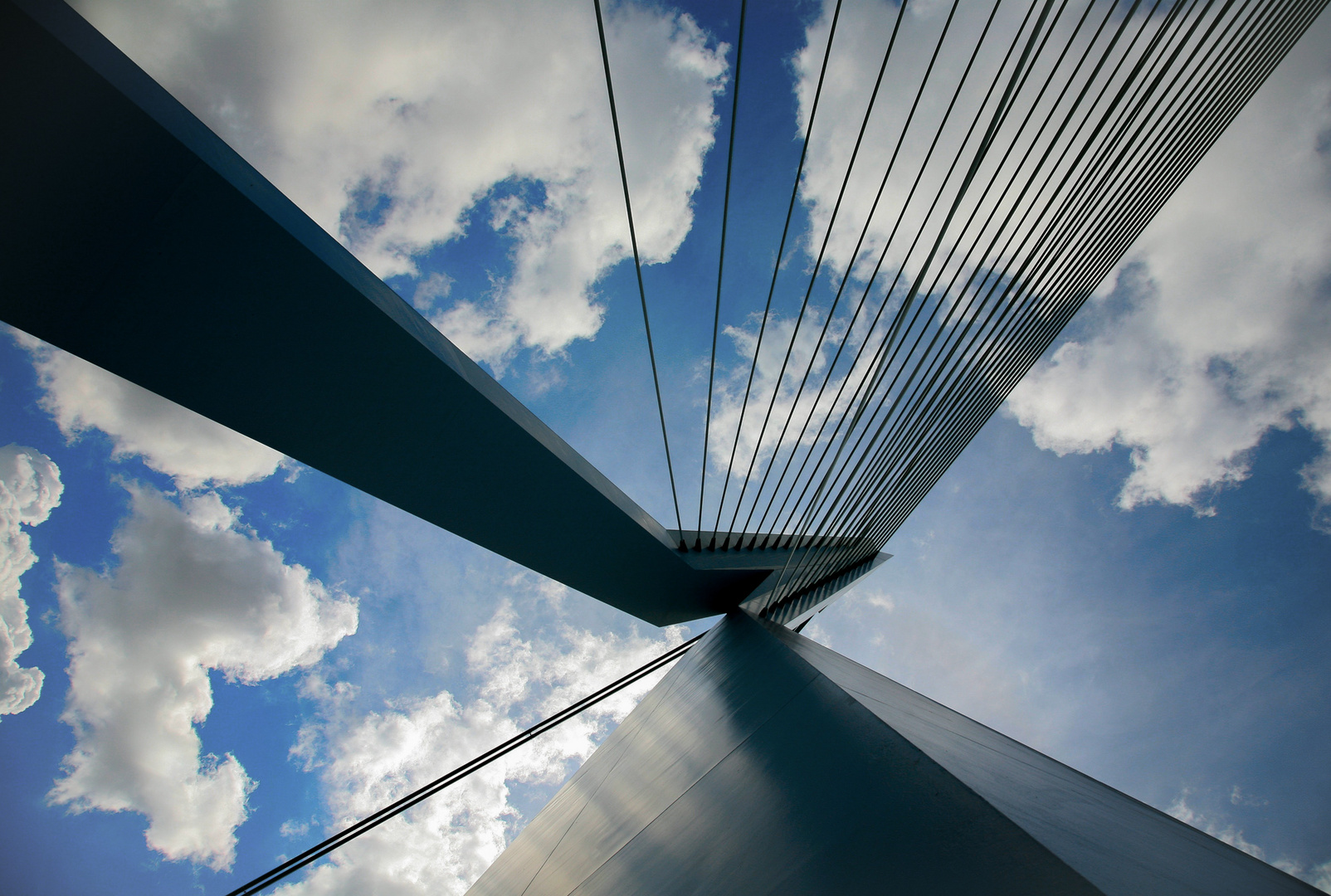 Erasmusbrücke Rotterdam