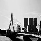 Erasmusbrücke - Rotterdam