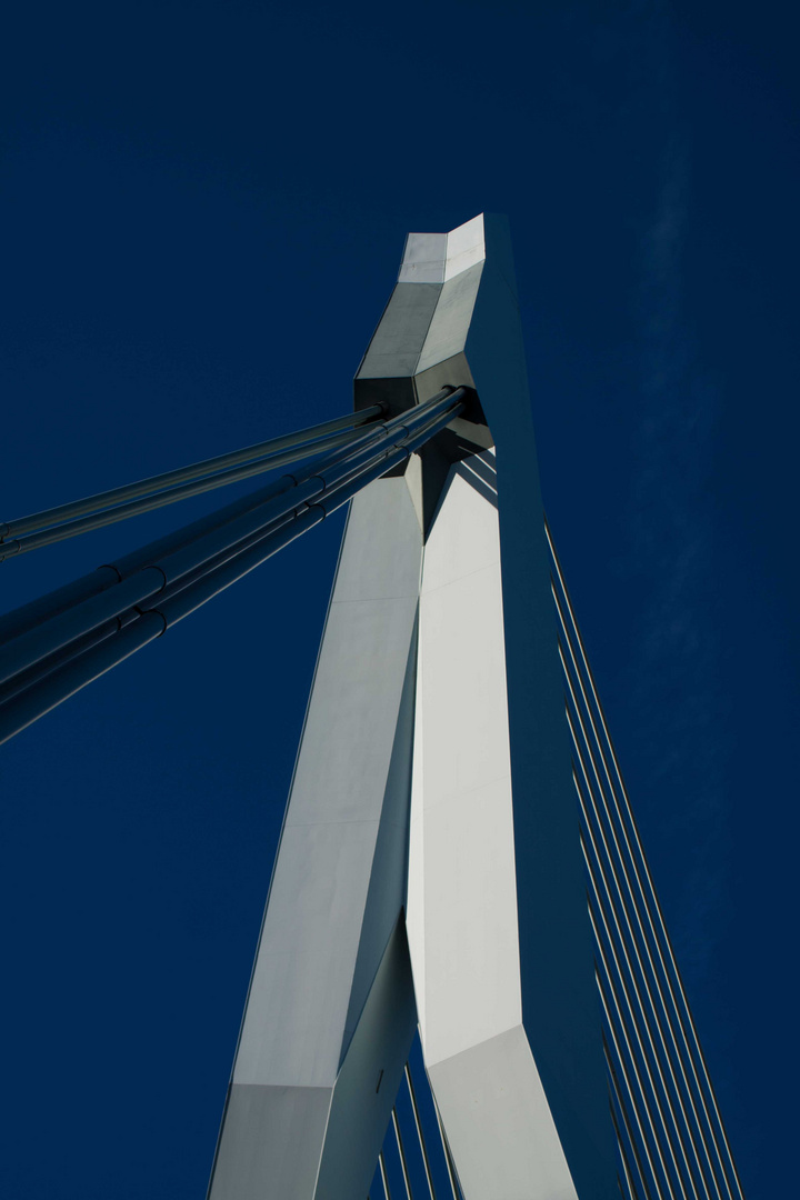 Erasmusbrücke Rotterdam