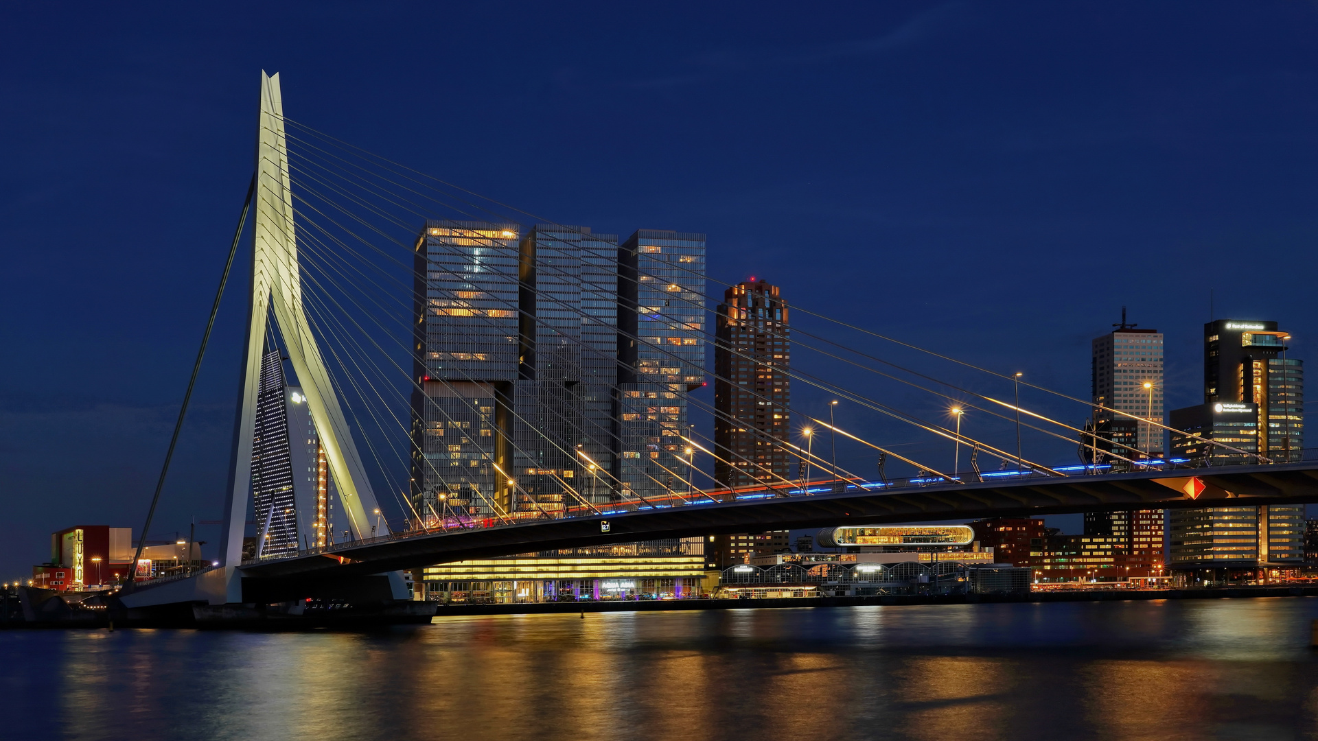 Erasmusbrücke Rotterdam in blauer Stunde