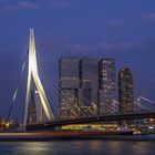 Erasmusbrücke Rotterdamm I