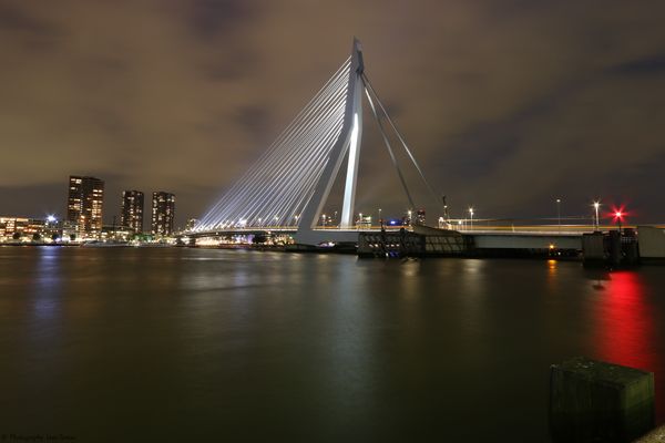 Erasmusbrücke "The Swan"