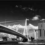 Erasmusbrücke und Skyline Rotterdam