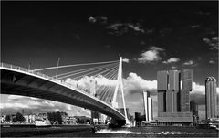 Erasmusbrücke und Skyline Rotterdam