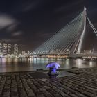 Erasmusbrug