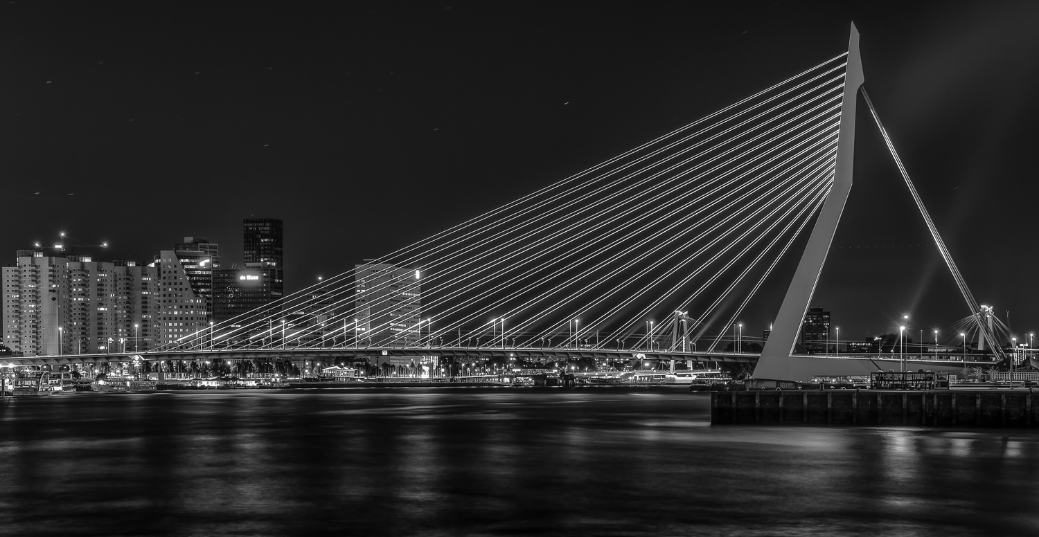 ^ Erasmusbrug ^ .....