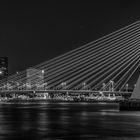 ^ Erasmusbrug ^ .....